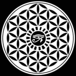 Meet your Posher, Dylan